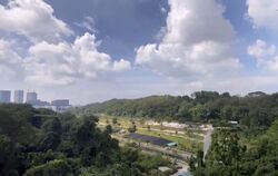 Normanton Park (D5), Apartment #452406171